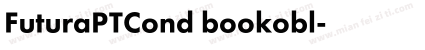 FuturaPTCond bookobl字体转换